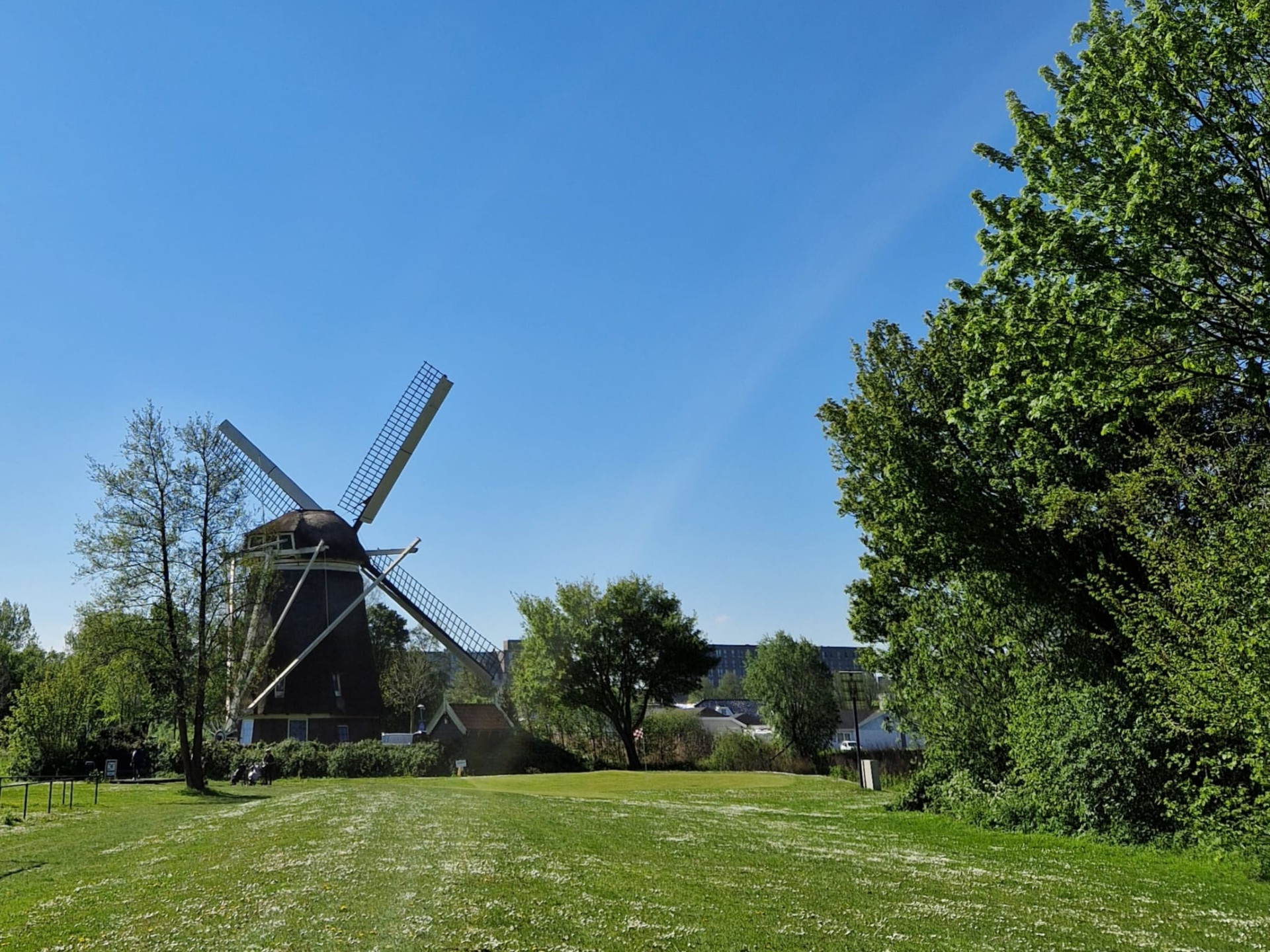 Open dagen 5 en 6 juli 2025