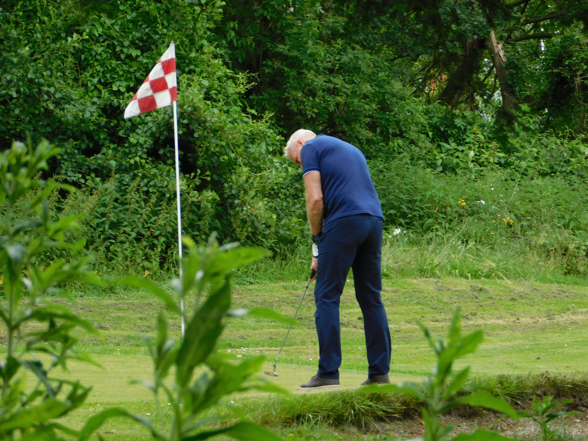 oprijlaan Ookmeer